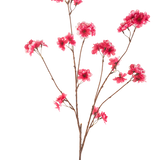De Kunstbloem Kersenbloesem 114 cm fuchsia toont een enkele bruine tak met meerdere stelen, elk met clusters van levendige fuchsia kunstkerstbloesem bloemen tegen een effen witte achtergrond.