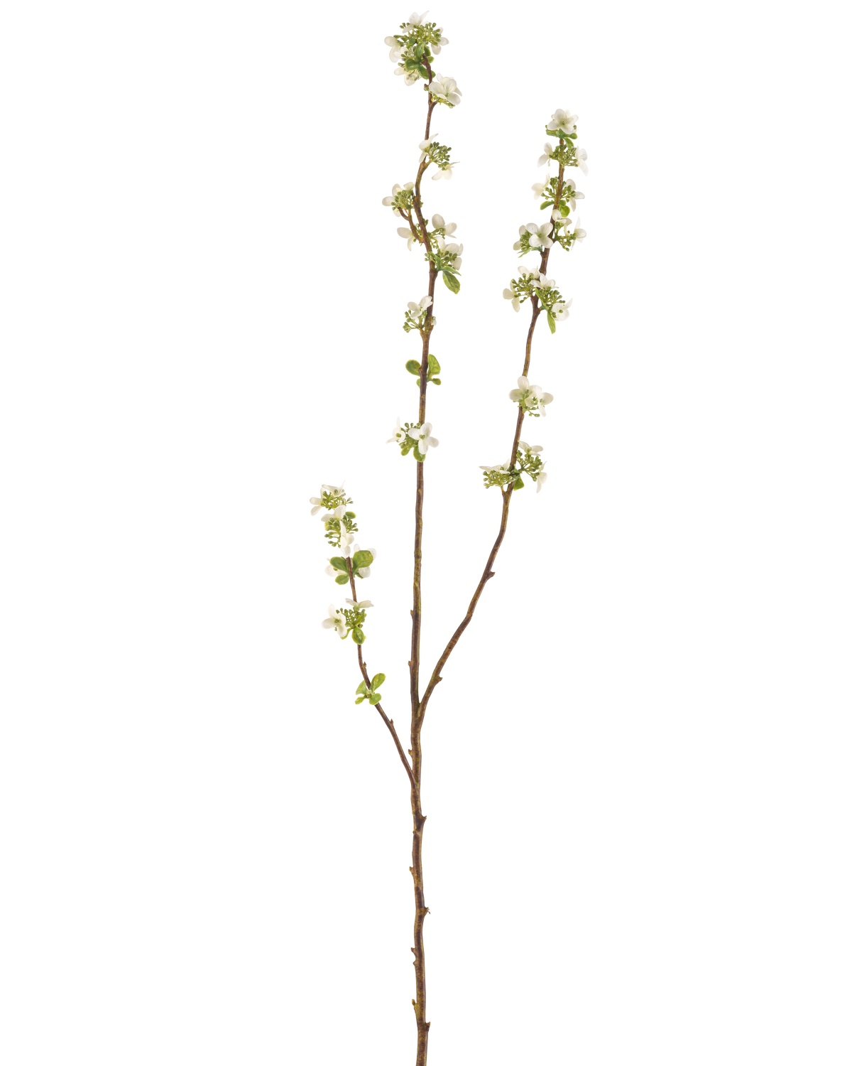 De Kunsttak Zaaddoos 104 cm crème heeft een enkele bruine tak met kleine groene blaadjes en trosjes kleine witte bloemetjes tegen een effen witte achtergrond.