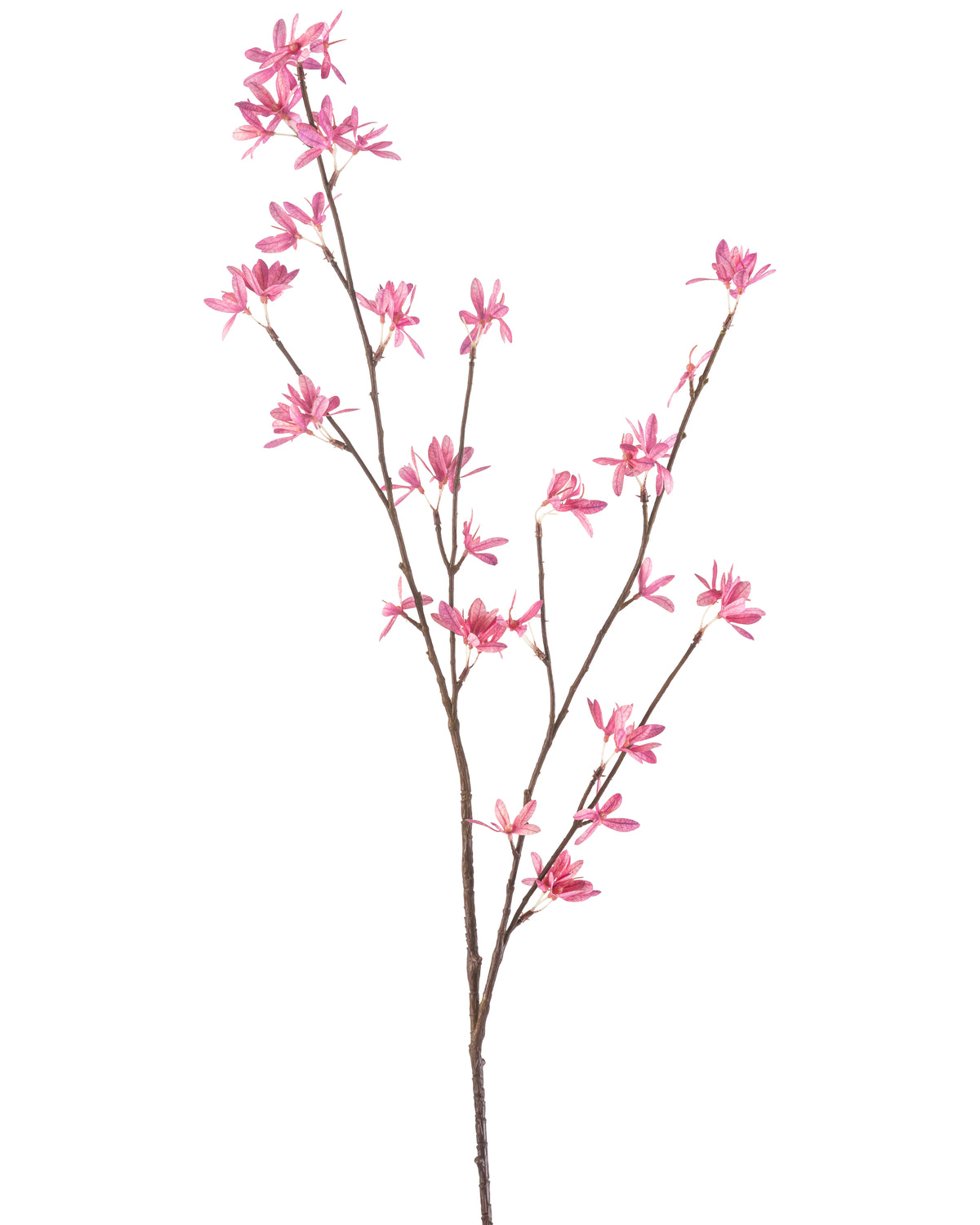 De Kunstbloem Wilde bloemen 112 cm fuchsia heeft een enkele tak met meerdere uitlopers, met delicate fuchsia bloemen tegen een witte achtergrond.