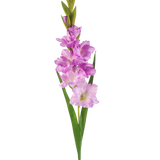 De Kunstbloem Gladiolen 93 cm paars is een kunstmatige gladioolstengel met lichtpaarse en roze bloemen, groene bladeren en knoppen tegen een witte achtergrond.