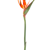 De Kunstbloem Paradijsvogel 99 cm koraal is een kunstbloem met puntige bloemblaadjes en een groene steel, afgebeeld tegen een witte achtergrond.