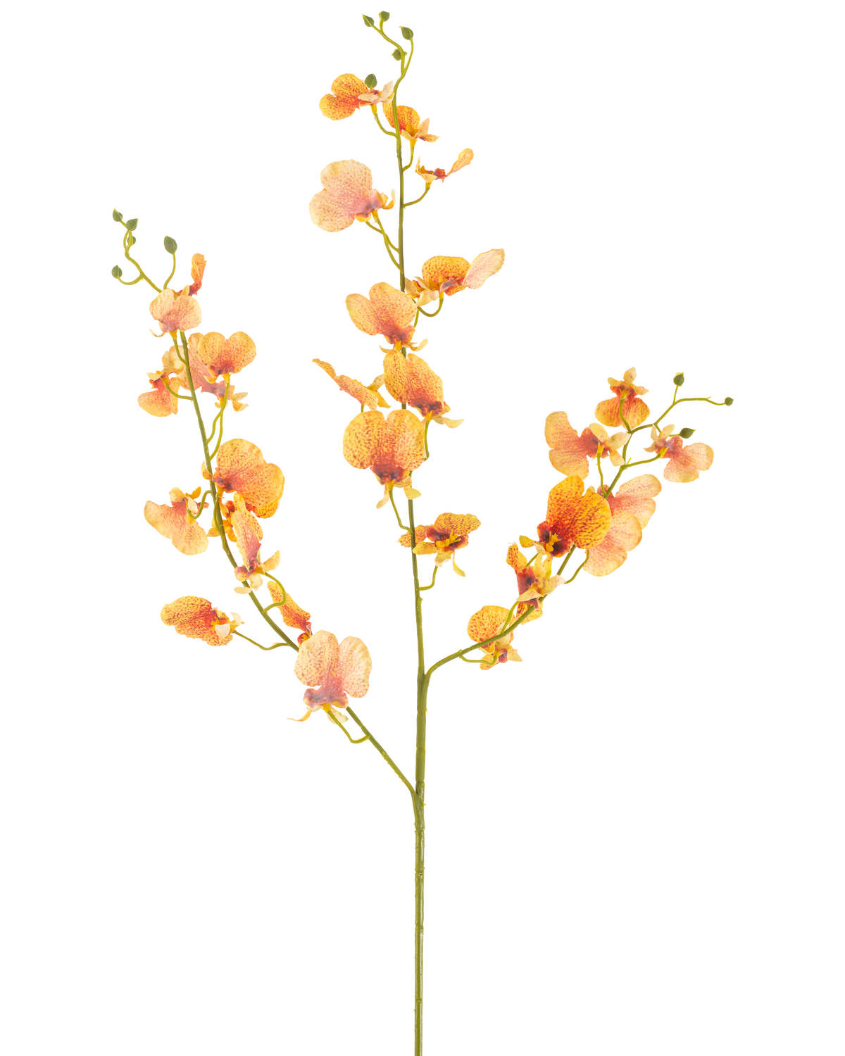 De Kunstbloem Orchidee 98 cm geel heeft een enkele steel met meerdere takken gele orchidee bloemen en groene knoppen, tegen een effen witte achtergrond.