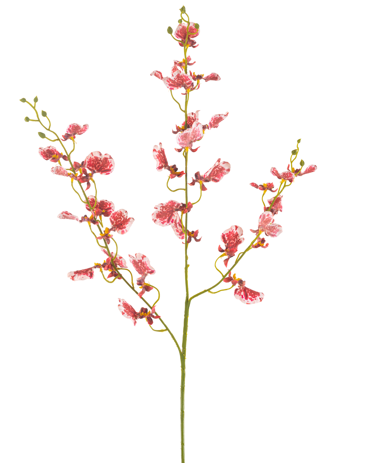 Een enkele rode Kunstbloem Orchidee 98 cm met meerdere takken, elk met trossen levendige bloemen, tegen een effen witte achtergrond.
