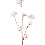 De Kunstbloem Kersenbloesem 85 cm crème heeft een slanke bruine steel met meerdere takken die trossen delicate crème kunstmatige kersenbloesems vasthouden, allemaal tegen een effen witte achtergrond.