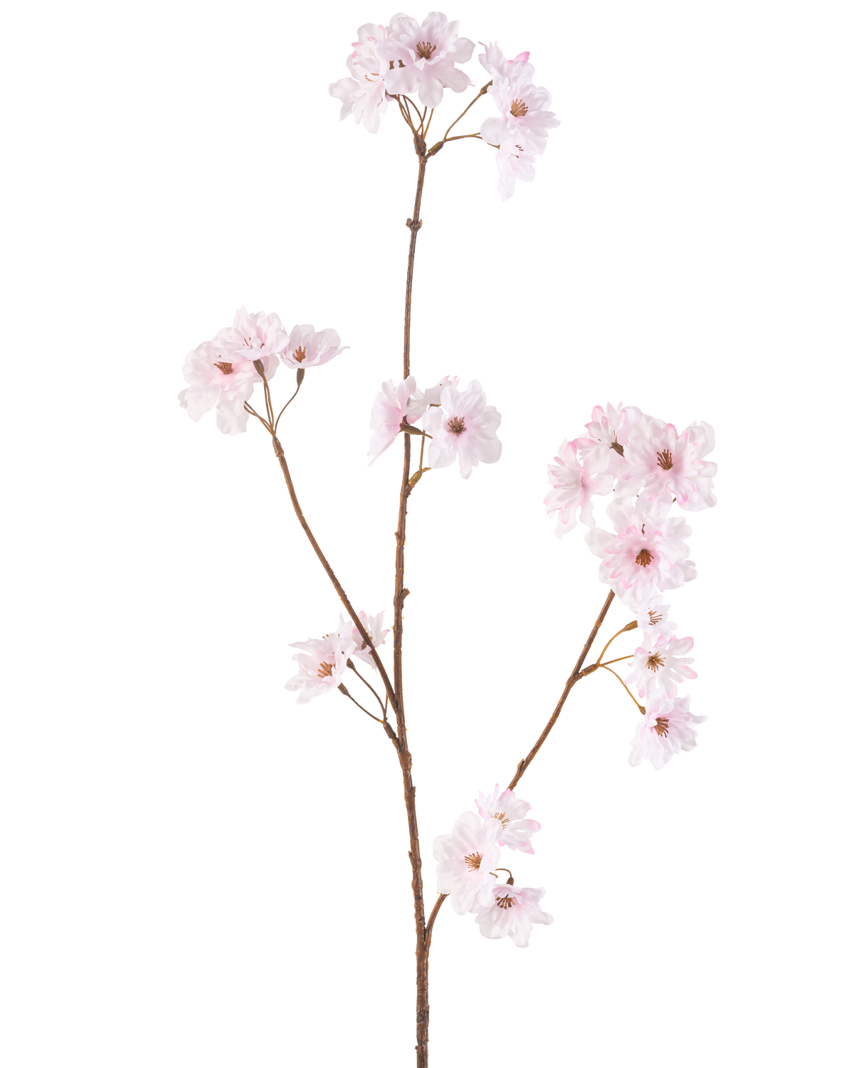 De Kunstbloem Kersenbloesem 85 cm lichtroze heeft een enkele slanke bruine steel met trosjes delicate lichtroze kersenbloesems, prachtig geïsoleerd op een witte achtergrond.