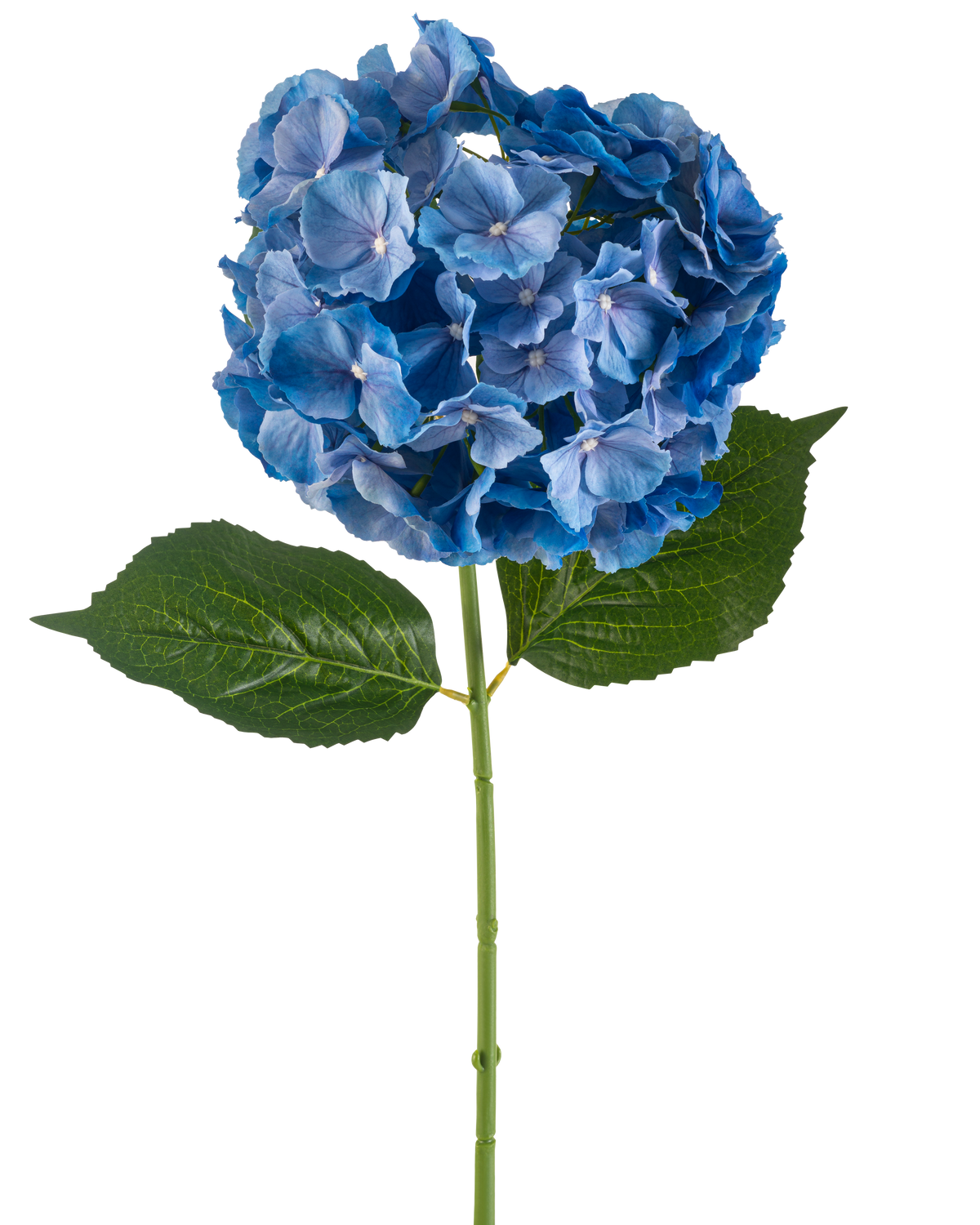 De Kunstbloem Hortensia 75 cm blauw heeft een enkele blauwe hortensiasteel met een ronde tros bloemblaadjes en twee grote groene bladeren op een effen witte achtergrond.