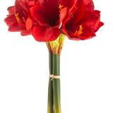 De Kunstbloem Amaryllis Real Touch rood 36 cm heeft levendige rode amaryllisbloemen met groene stelen, samengebonden met een elastiekje, tegen een effen witte achtergrond.