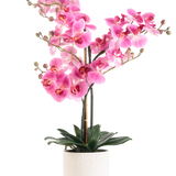 De Kunst Orchidee Real Touch 68 cm roze heeft een levendige roze orchidee met meerdere stelen en groene bladeren in een witte pot van keramiek, tegen een effen witte achtergrond.