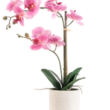 De Kunst Orchidee Real Touch 60 cm roze/wit heeft een roze en witte orchidee met verschillende bloemen en groene bladeren in een pot met witte textuur, ondersteund door een dunne bamboestok, tegen een effen witte achtergrond.