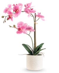Orchidée artificielle Real Touch 30 cm rose/blanc