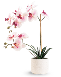 Orchidée artificielle Real Touch 30 cm rose/blanc