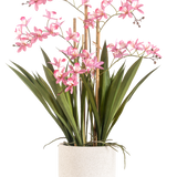 De Kunstplant Mini Cymbidium Real Touch 58 cm roze heeft lange groene bladeren en meerdere roze bloemstelen, gerangschikt in een gestructureerde witte cilindrische pot, tegen een effen witte achtergrond.