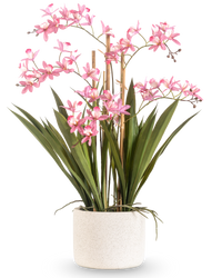 Plante artificielle Mini Cymbidium Real Touch 58 cm rose