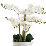 Een Kunst Orchidee Real Touch 50 cm in wit, met meerdere bloemen en knoppen, elegant gepresenteerd in een bijpassende witte pot.
