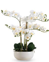 Orchidée artificielle Real Touch 50 cm blanche en pot blanc