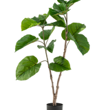 De Kunstplant Ficus Rumphii 120 cm is een hoge kunstplant met brede, glanzend groene bladeren en meerdere takken, in een eenvoudige zwarte pot tegen een effen witte achtergrond.