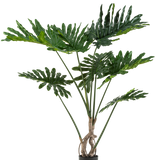 De Kunstplant Philodendron 120 cm heeft grote, glanzende, diep ingesneden groene bladeren en meerdere lange stelen met een gedraaide stam, tegen een effen witte achtergrond.