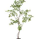 De Kunstplant Terminalia Catappa 120 cm is een hoge, slanke potplant met dunne takken en talrijke kleine, ronde groene bladeren, afgebeeld tegen een effen witte achtergrond.