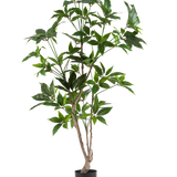 De Kunstplant Schefflera 150 cm heeft meerdere dunne houtachtige stengels met glanzend groene bladeren, in een eenvoudige zwarte pot en tegen een effen witte achtergrond.