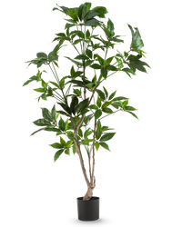 Kunstplant Schefflera 150 cm