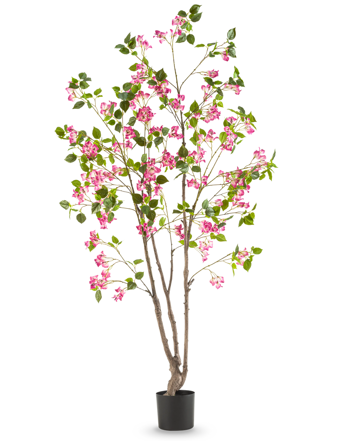 De Kunstplant Bougainvillea 180 cm is een hoge kunstplant met meerdere bruine stengels, groene bladeren en felroze bloemen in een zwarte pot, tegen een effen witte achtergrond.