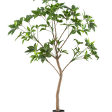 De Kunstplant Schefflera 180 cm is een hoge kunstboom met groene bladeren en een slanke bruine stam in een zwarte pot, afgebeeld tegen een effen witte achtergrond.