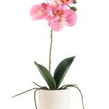 De Kunst Orchidee Real Touch 30 cm roze heeft verschillende roze bloesems en knoppen op een lange steel met brede groene bladeren en zichtbare wortels, allemaal gerangschikt in een eenvoudige pot met witte textuur tegen een effen witte achtergrond.