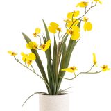 De Kunst Oncidium Real Touch 48 cm geel heeft lange, slanke bladeren en lange stelen met heldergele orchideeën in een witte pot, tegen een effen witte achtergrond.