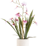 De Kunst Oncidium Real Touch 48 cm roze heeft een hoge orchidee met lange groene bladeren en delicate roze bloemen op gebogen stelen, in een pot met witte textuur tegen een effen witte achtergrond.
