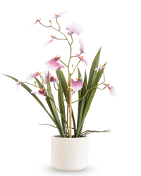 Oncidium artificiel Real Touch 48 cm rose