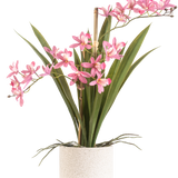 De Kunstplant Mini Cymbidium Real Touch 45 cm roze heeft lange groene bladeren en verschillende roze bloemstelen, gerangschikt in een eenvoudige pot met witte textuur en tegen een effen achtergrond.