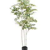 De Kunst Berkenboom "Silver" 180 cm is een hoge kunstberk met bonte bladeren in een eenvoudige zwarte pot, tegen een effen witte achtergrond.