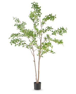 De Kunstplant Mahonia 210 cm is een hoge kunstboom met meerdere slanke bruine stammen en groene bladertakken, in een eenvoudige zwarte pot tegen een effen witte achtergrond.