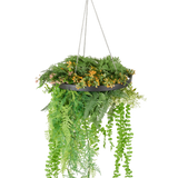 De Kunst hangplant varen UV 40 cm in ring zwart heeft weelderige groene en gele kunstplanten en slingerende wijnranken in een zwarte hangplant met zilveren kettingen, tegen een witte achtergrond.
