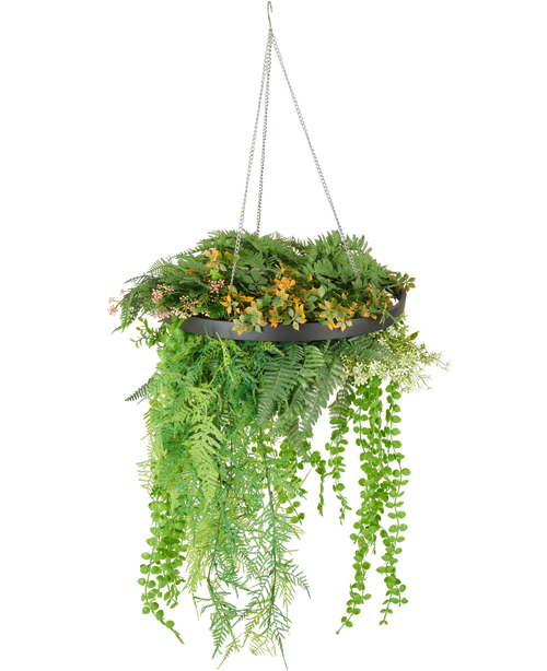 De Kunst hangplant varen UV 40 cm in ring zwart heeft weelderige groene en gele kunstplanten en slingerende wijnranken in een zwarte hangplant met zilveren kettingen, tegen een witte achtergrond.