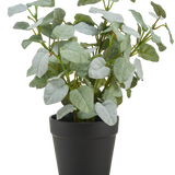 De Kunst Pumila "Silver" in pot UV 25 cm heeft groene, ovaalvormige kunstbladeren in een eenvoudige zwarte kunststof pot, tegen een effen witte achtergrond.