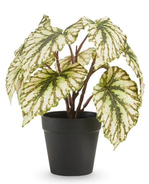 Kunst Begonia in pot groen UV 25 cm