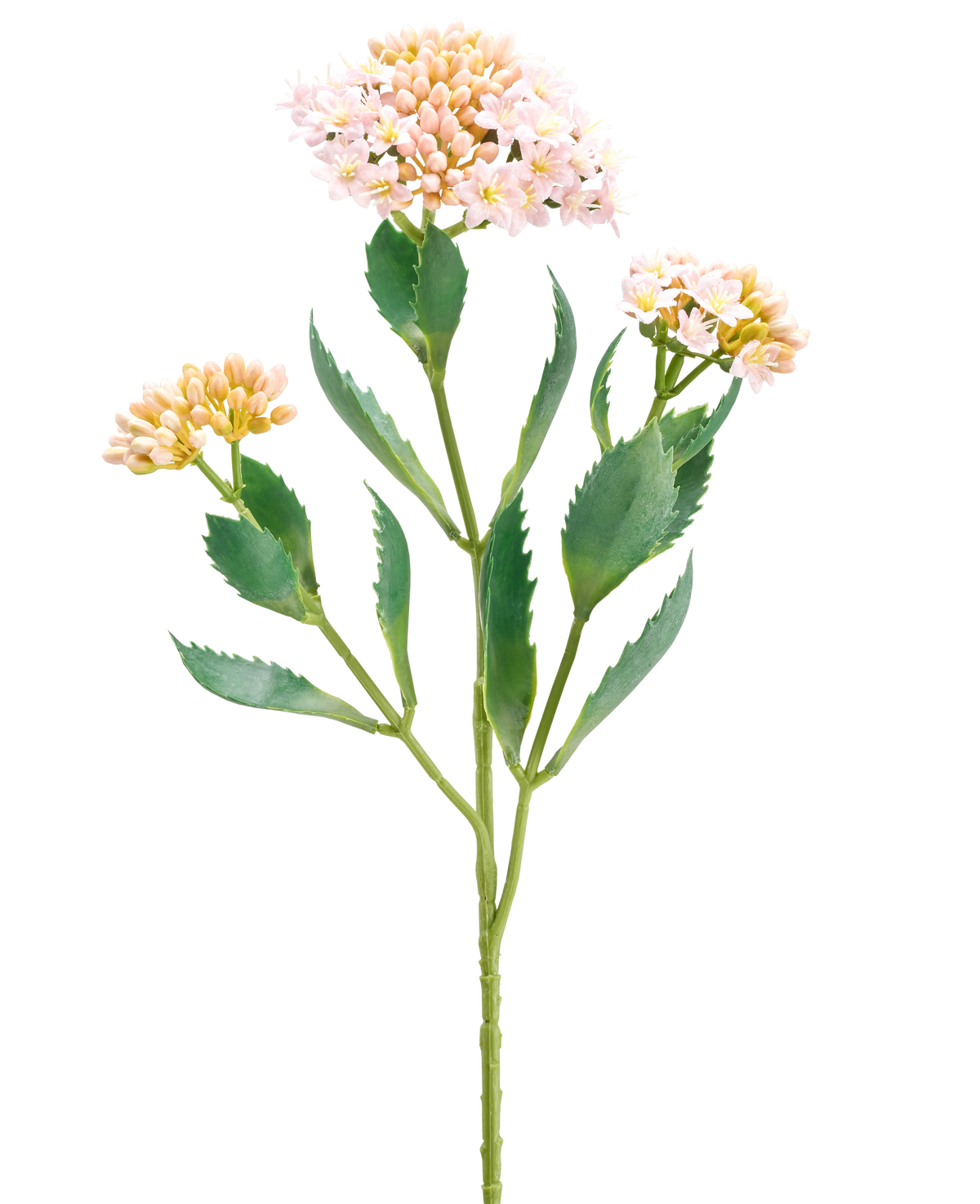 De Kunstbloem Kalanchoë 47 cm roze heeft een enkele groene stengel met drie trossen kleine, lichtroze en perzikkleurige bloemen en langwerpig gekarteld groen blad, geïsoleerd op een witte achtergrond.