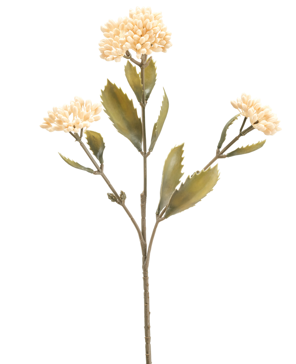 De Kunstbloem Kalanchoë 47 cm creme heeft een enkele kunststengel met drie trossen kleine, licht crème bloemen en groen gekartelde bladeren, tegen een effen witte achtergrond.