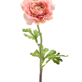 De Kunstbloem Ranonkel 51 cm roze heeft een enkele roze ranonkel met gelaagde bloemblaadjes en groene bladeren op een lange steel, geïsoleerd tegen een witte achtergrond.