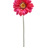 Een enkele Kunstbloem Gerbera 53 cm bordeaux met een lange groene steel, geïsoleerd op een witte achtergrond.