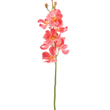 De Kunstbloem Orchidee 55 cm roze heeft een enkele steel met levendige roze orchidee bloemen met meerdere open bloemen en knoppen, tegen een effen witte achtergrond.