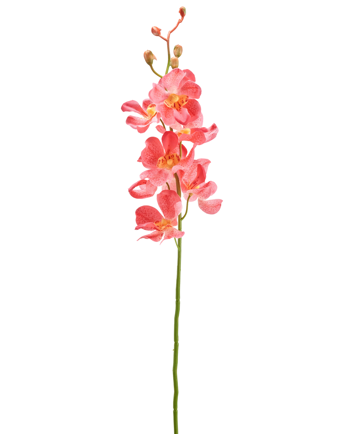 De Kunstbloem Orchidee 55 cm roze heeft een enkele steel met levendige roze orchidee bloemen met meerdere open bloemen en knoppen, tegen een effen witte achtergrond.