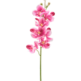 Een Kunstbloem Orchidee 55 cm mauve met verschillende levendige mauve-roze bloemen en knoppen staat tegen een effen witte achtergrond.