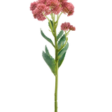 Een enkele stengel van de Kunstbloem Sedum 57 cm mauve is voorzien van trossen kleine, stervormige mauve bloemen en groene bladeren, afgebeeld tegen een witte achtergrond.