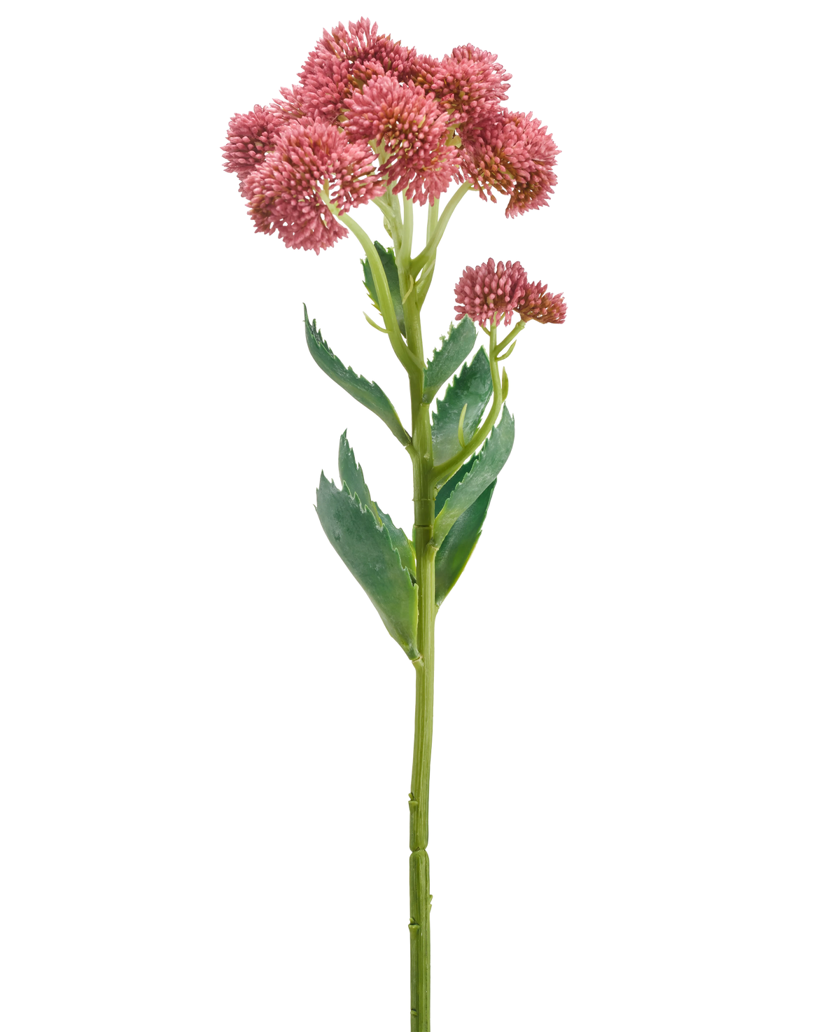 Een enkele stengel van de Kunstbloem Sedum 57 cm mauve is voorzien van trossen kleine, stervormige mauve bloemen en groene bladeren, afgebeeld tegen een witte achtergrond.