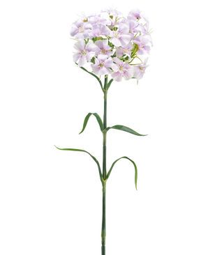 Een enkele lange groene stengel met slanke bladeren en een tros fuchsia bloemen met franjes bovenaan, Kunstbloem Paardenbloem 63 cm, tegen een effen witte achtergrond.