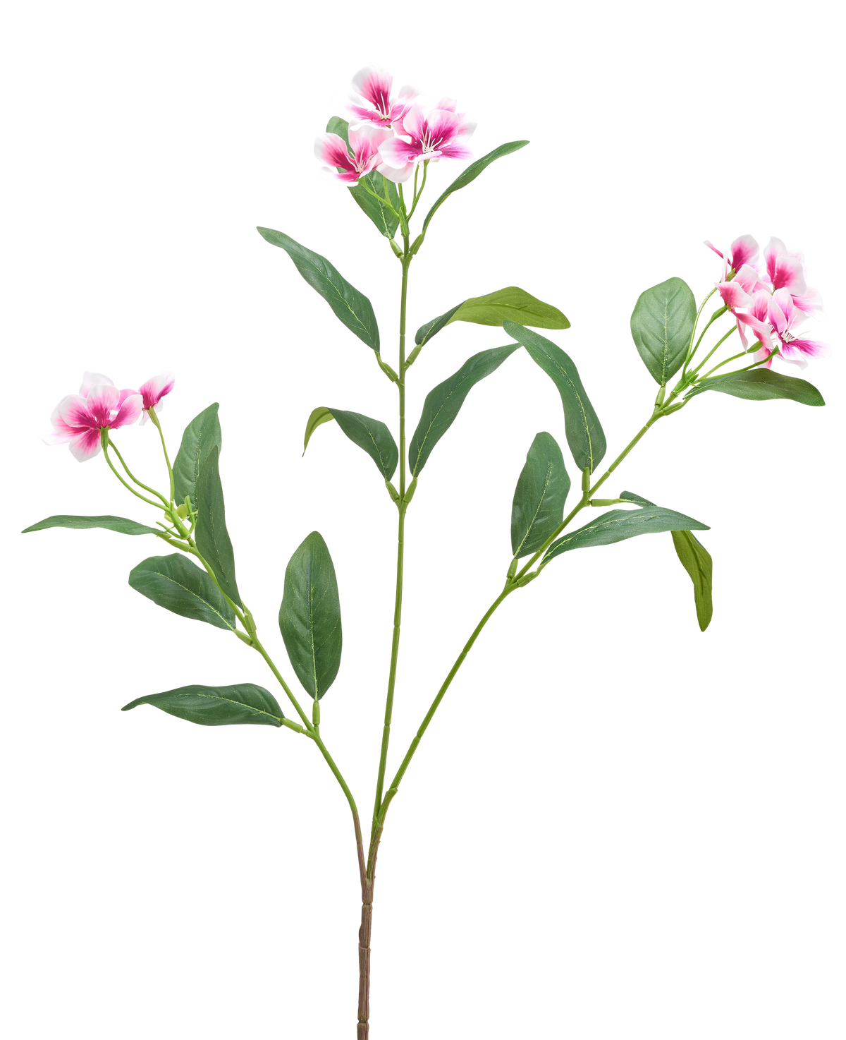 Een Kunstbloem Catharanthus 68 cm in fuchsia/creme met lange, slanke groene bladeren en trossen vijfbladige bloemen wordt getoond tegen een effen witte achtergrond.
