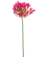 Een enkele lange groene steel van de Kunstbloem Celematis 78 cm wit toont een cluster van levendige witte bloemen bloeiend aan de top, tegen een effen witte achtergrond.