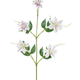 De Kunstbloem Celematis 78 cm wit heeft een enkele groene stengel met vijf witte stervormige bloemen, meerdere groene bladeren die symmetrisch gerangschikt zijn en gekrulde ranken. De achtergrond is egaal wit.